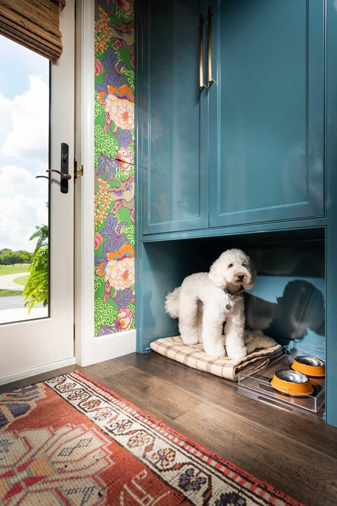 Pet friendly spaces
