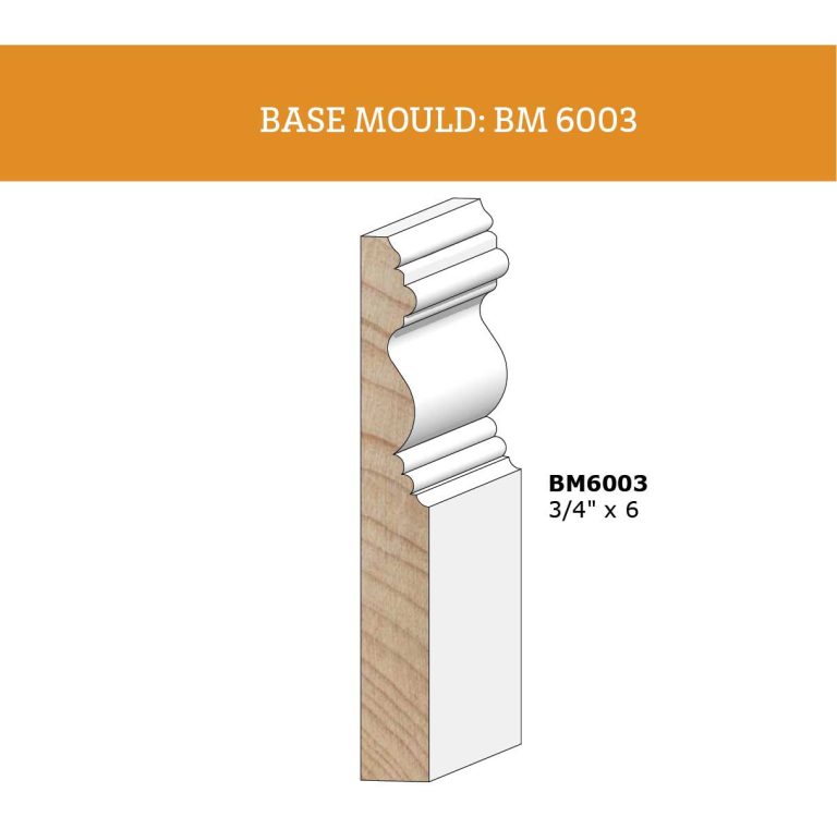 BM-6003@2x-100