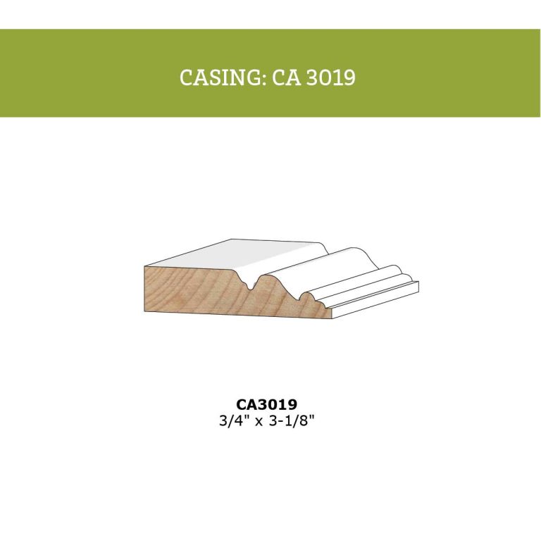 CA-3019@2x-100