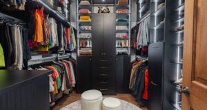 classy closet feature wall